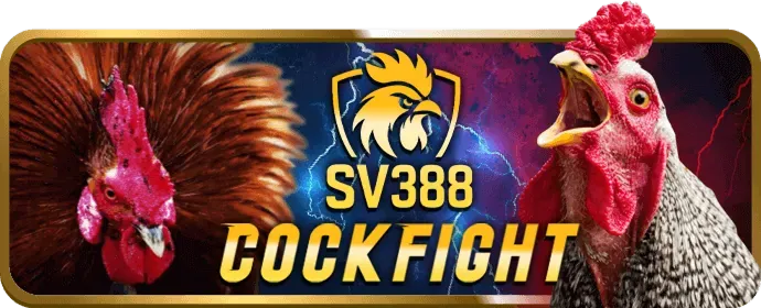 Người dùng đang sử dụng ứng dụng Fun97 Link Mới trên điện thoại để đặt cược thể thao